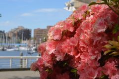 DSC_0003-scaled